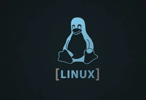 Linux系统安全